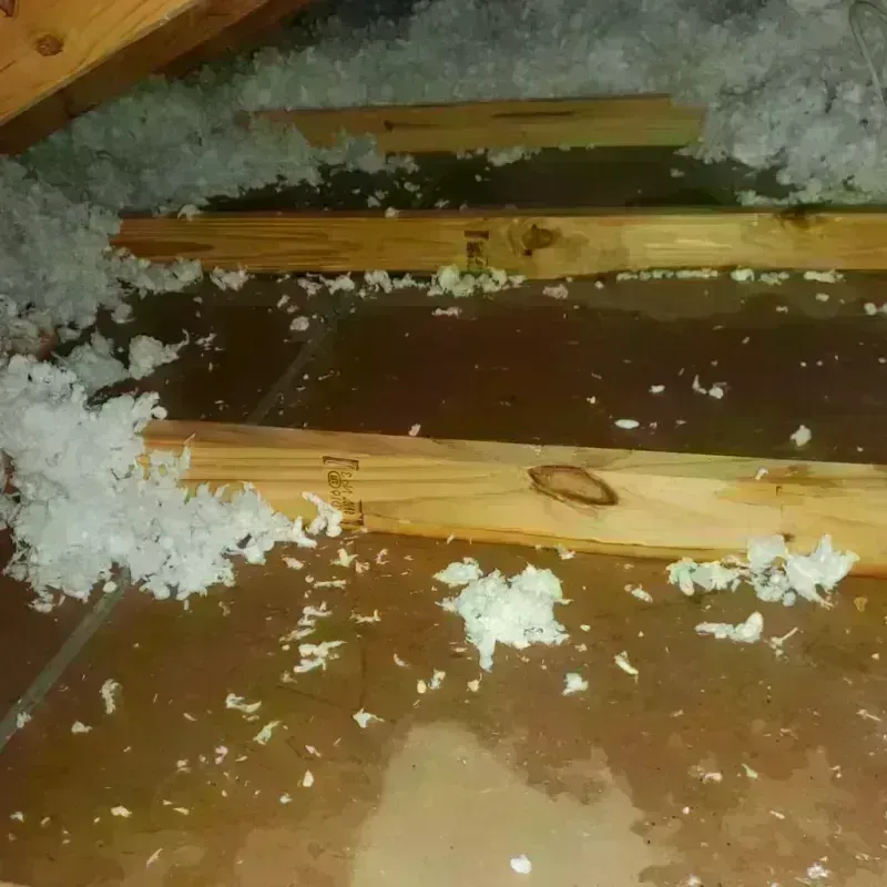 Attic Water Damage in Stockbridge, GA